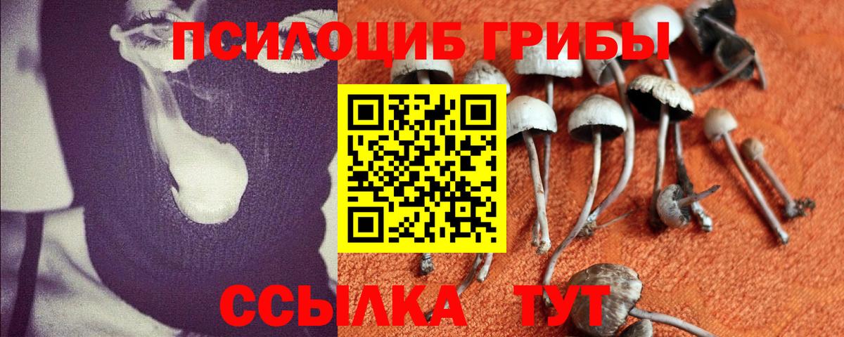 Галлюциногенные грибы мухоморы  Псилоцибиновые грибы Psilocybe  Королёв  Вход с VPN 