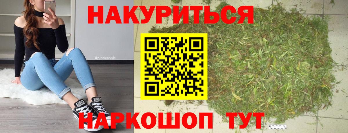 Бошки Шишки план Королёв